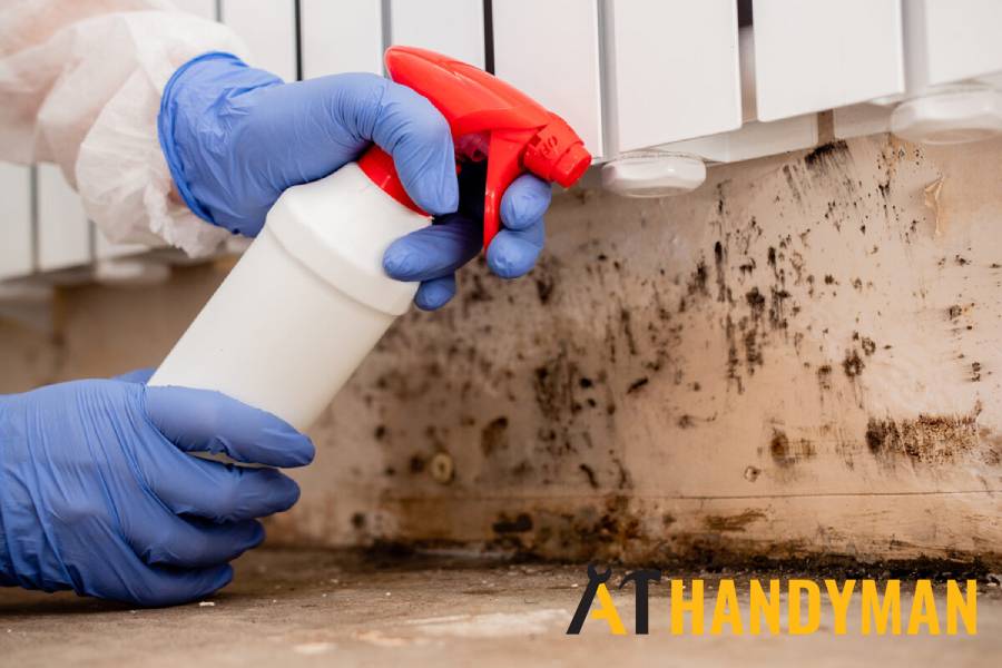 mould-removal-a1-handyman-singapore
