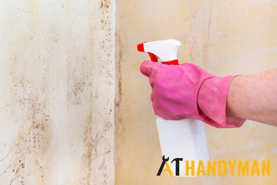 wall-mould-removal-a1-handyman-singapore